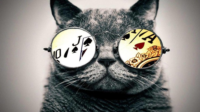 全平台应用框架会是趋势吗？flutter、tauri、maui你更看好哪一个？